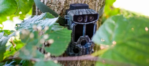 Was geht bei dir ab? Die Braun Scouting Cam Black1320 WiFi Solar 4K DS zeigt es dir.