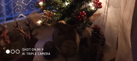 Xiaomi Mi 9 - ein Kamerablitzvergleich