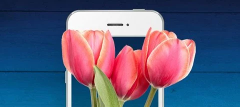 YAY! Unser erstes neues Community-Abzeichen für besonderes Engagement ist da!