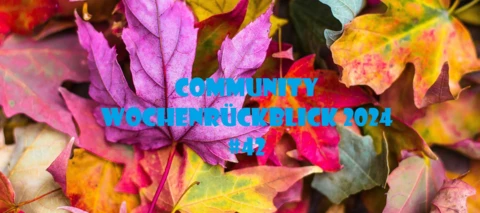 Community Wochenrückblick 2024 #42
