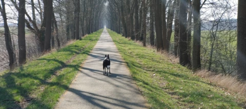 Community Wochenrückblick #51