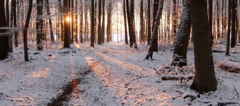 Community-Weihnachtszeit Tag 7