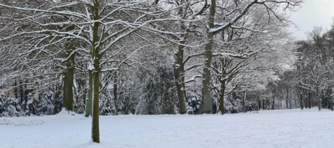 Community-Weihnachtszeit Tag 2