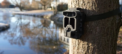 Was treiben Fuchs und Hase eigentlich nachts? Teste die BRAUN Scouting Cam Black1320 WiFi Solar 4K DS