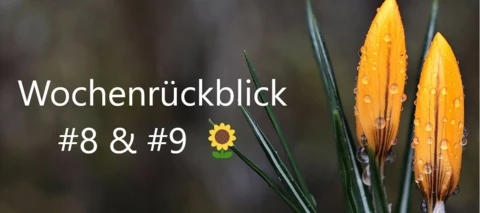 Community Wochenrückblick #8 & #9 - Doublefeature 😱