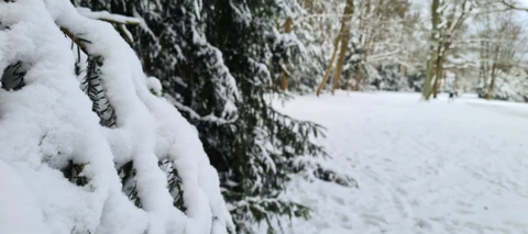 Community-Weihnachtszeit Tag 4