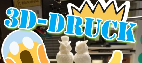 3D-Druck 😳... das kann doch JEDER 😎!