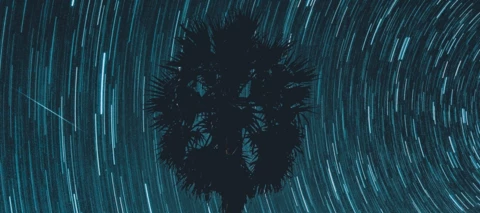 Spieglein, Spieglein an der Wand, wer macht die besten Fotos im ganzen Land… ?!?