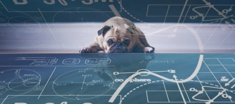 Neues Handy am Start? Checkliste für die Einrichtung