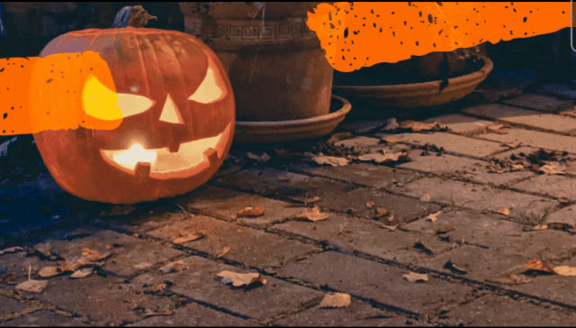 Community Wochenrückblick #44