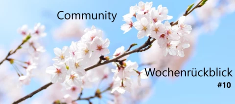 Community Wochenrückblick #10