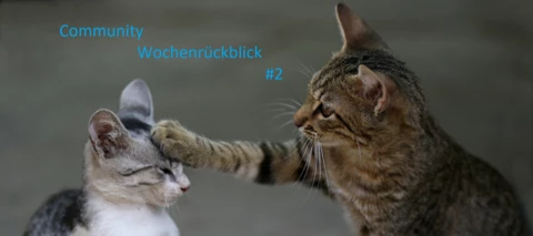 Community Wochenrückblick 02-2023