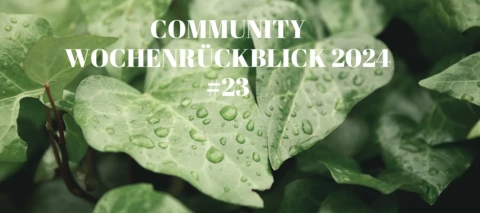 Community Wochenrückblick 2024 #23 - ☔