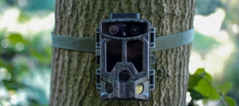 Tierische Spionage mit der BRAUN Scouting Cam Black1320