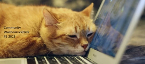 Community Wochenrückblick #6 2023