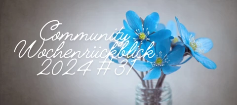 Community Wochenrückblick 2024 #31