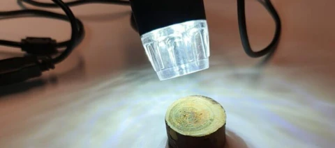 Digitales Mikroskop - Ganz nah dran!