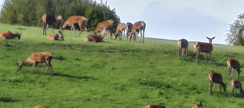 Testbericht zum Bundle Xiaomi 14 ultra und Samsung Galaxy Tab S9 FE+