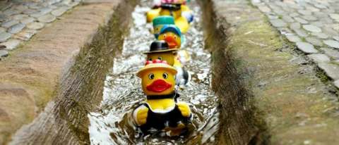 Alternative Suchmaschinen - mit DuckDuckGo an der Filterblase vorbei!