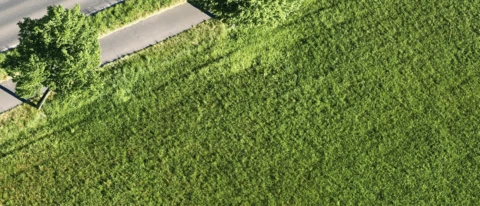 Smart Home: Was bei einem Mähroboter zu beachten ist