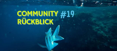 Community Wochenrückblick #19 - Fische, Urlaub und Homeoffice