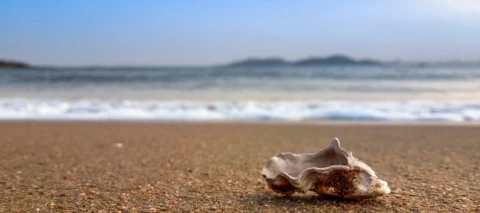 Die Urlaubszeit ist da - Wo geht es für euch hin, dieses Jahr?