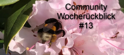 Community Wochenrückblick #13