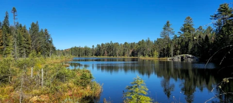 Mein Bericht der Kanada-Reise