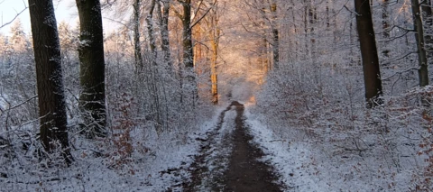 Community-Weihnachtszeit Tag 9