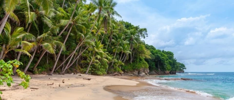 Auf diese Games dürfen wir uns im Frühjahr freuen - Teil 1: Tropico 6