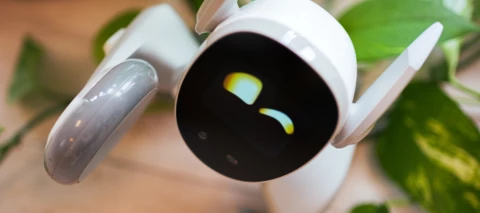 Loona Petbot - süßer Roboter für die nächsten Wochen abzugeben