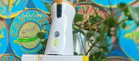 Testbericht Furbo Dog Cam Hundekamera