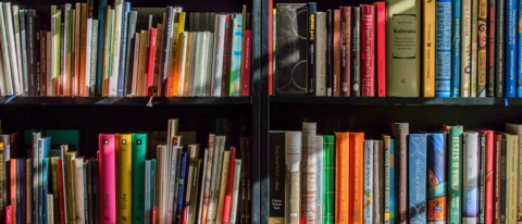 Bücher - Was lest ihr aktuell?