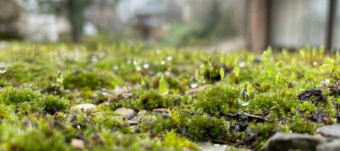 Das Warten hat sich gelohnt - iPhone 13 mini und Apple Watch 6