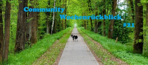 Community Wochenrückblick #21 2023