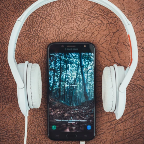 Für Puristen unter den Musikliebhabern - die Napster Music Flat