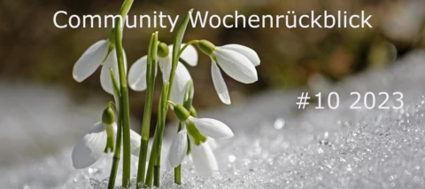 Community Wochenrückblick #10  2023