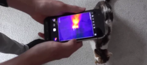 Dieses Handy ist DICKER ALS EIN NOKIA (aber auch geiler?)||CAT S61 Review