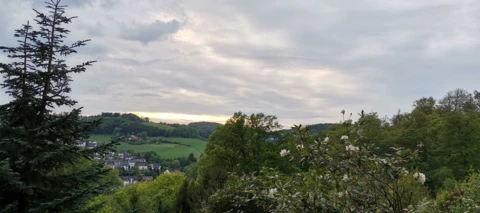 Angetestet: Huawei P40 Lite