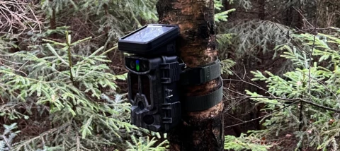 Fotofallen-Test - BRAUN Scouting Cam Black1320 WiFi Solar 4K DS