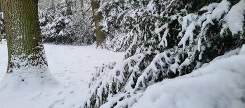 Community-Weihnachtszeit Tag 3