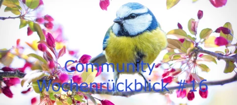 Community Wochenrückblick #16/22