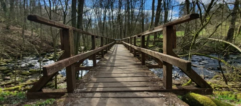 Testbericht: Samsung Galaxy S10+ und Gear Sport