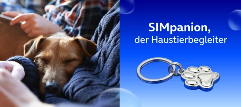 Artikelbild zu "SIMpanion - der Haustierbegleiter"