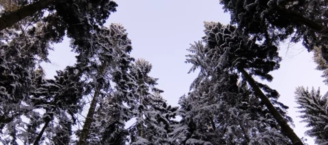 Community-Weihnachtszeit Tag 14