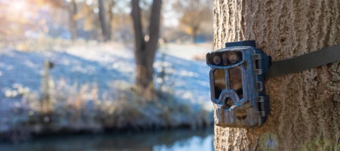 BRAUN Scouting Cam Black1320 WiFi Solar 4K DS - der Natur auf der Spur.