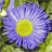 Prinzessin11