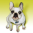 tom_amsee