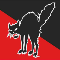 Gatto Nero