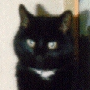 beta789